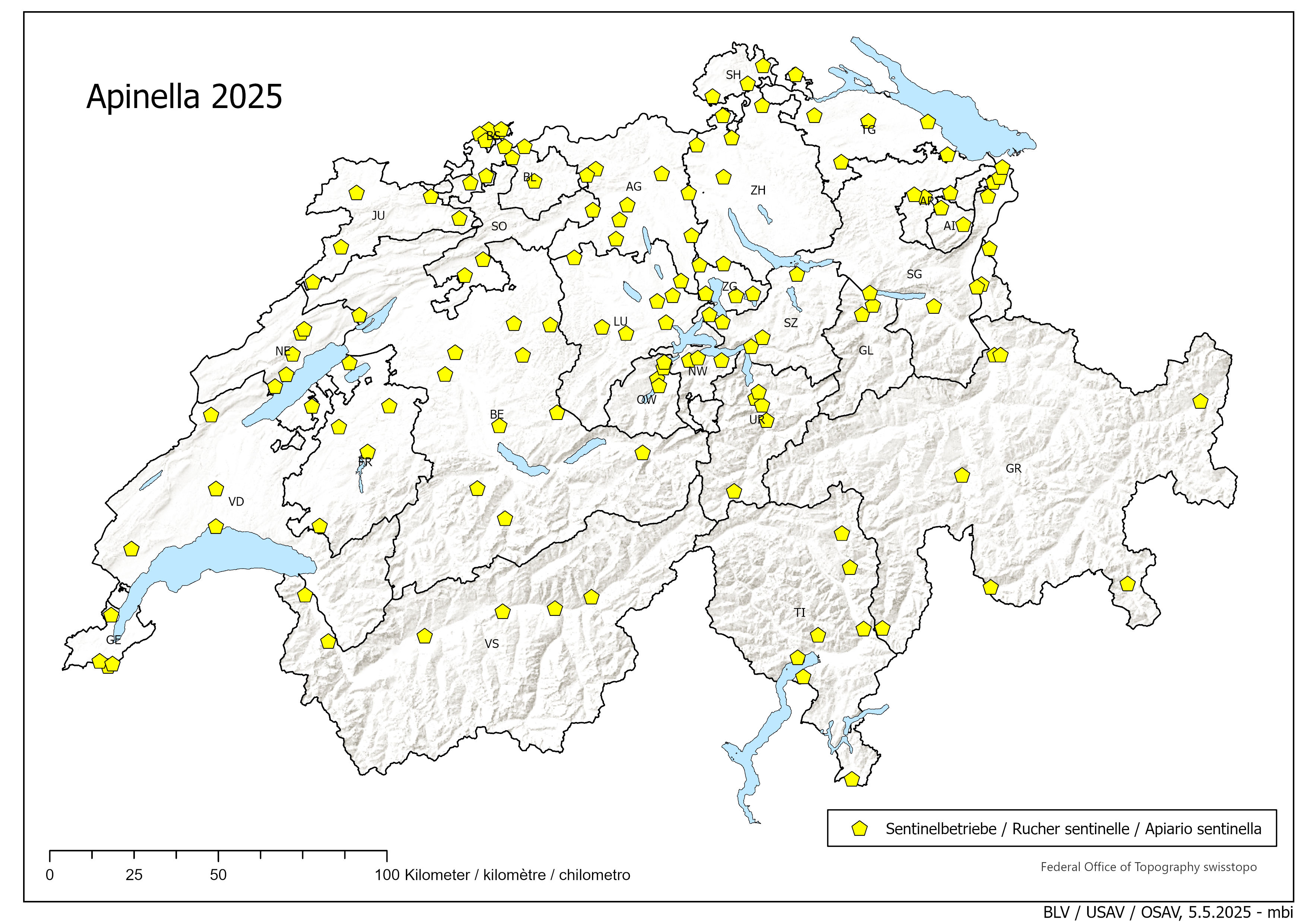 Apinella 2025